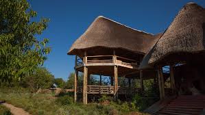 Mburo safari lodge