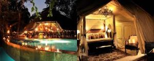 selous serena camp